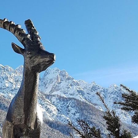 Nigritella Appartement Kranjska Gora Buitenkant foto