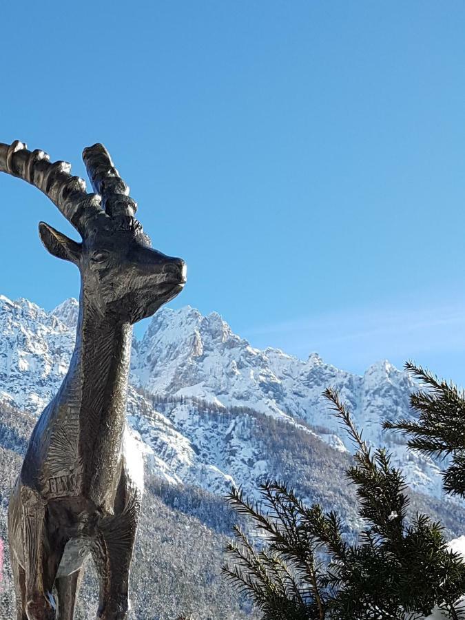 Nigritella Appartement Kranjska Gora Buitenkant foto