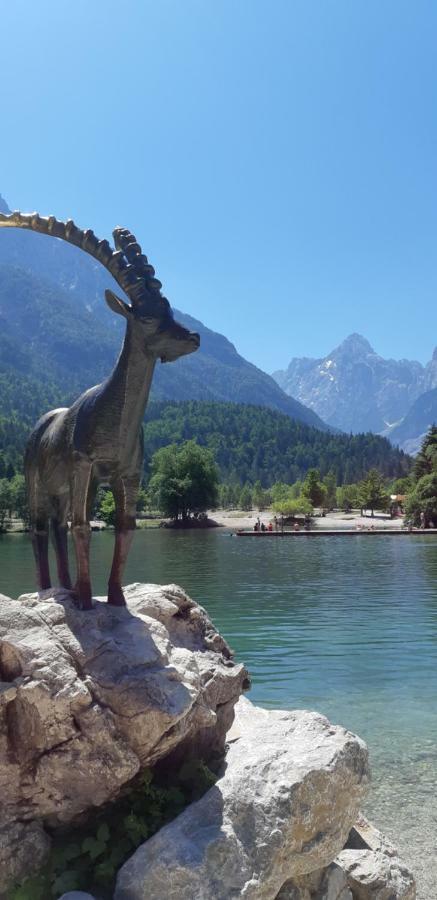 Nigritella Appartement Kranjska Gora Buitenkant foto